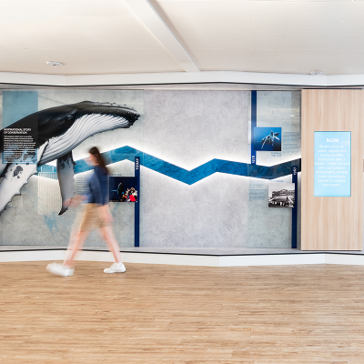 Seaworld Whale Terminal